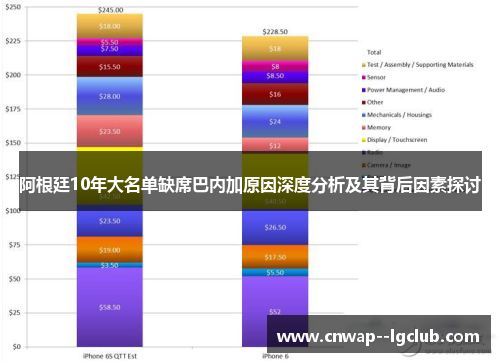 阿根廷10年大名单缺席巴内加原因深度分析及其背后因素探讨